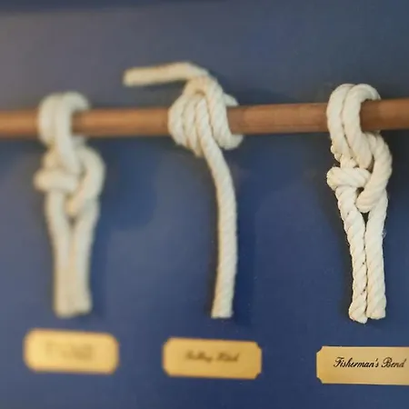 Am Ringwall 91 - Seeloewe B בית נופש